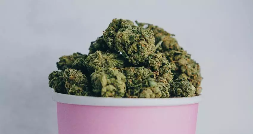 Cannabis Wholesalers Australia